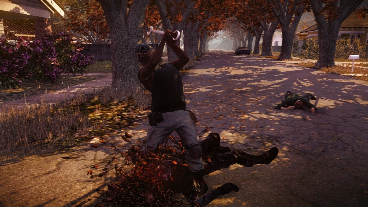 State of Decay